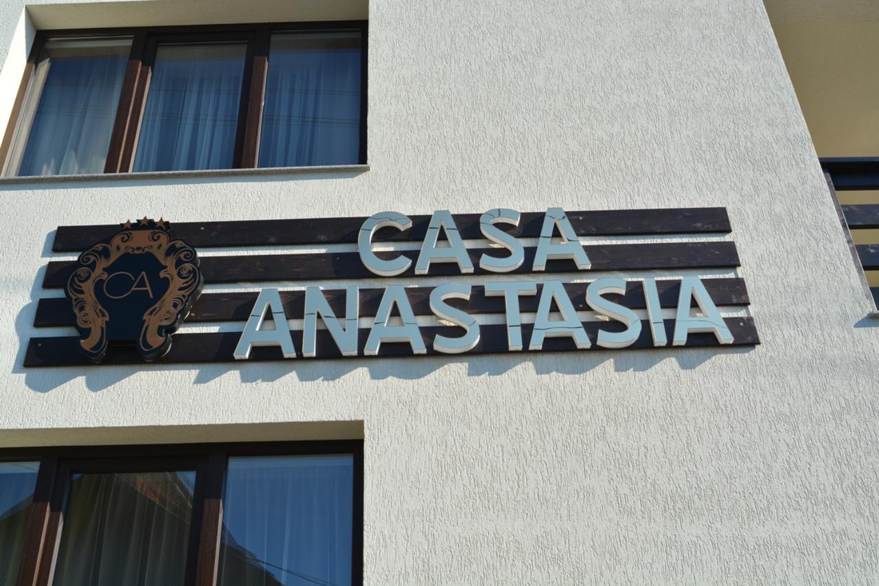 Casa Anastasia Vişeu de Sus Exterior foto